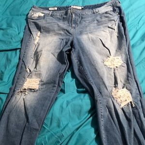 Torrid jeans